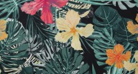 Tropic 04