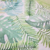 MONSTERA na jasnym tle