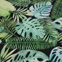 MONSTERA na czarnym tle