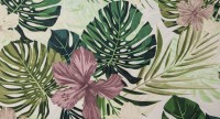 Tropic-01