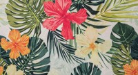 Tropic-02