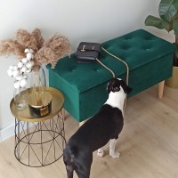 Posiadamy szeroki wybór tkanin przyjaznych zwierzętom.