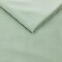 Magic Velvet 2237.jpg