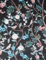 CHINOI 01 WONDER VELVET