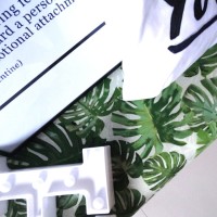 Monstera.jpg